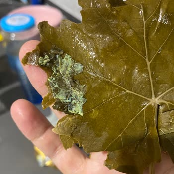 Migros Markalı Ürün Kalitesi Ve Müşteri Memnuniyeti