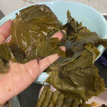 Migros Markalı Ürün Kalitesi Ve Müşteri Memnuniyeti