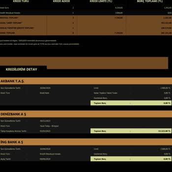 Emir Varlık Yönetim Borç Ödeme Sürecinde Karşılaşılan Zorluklar