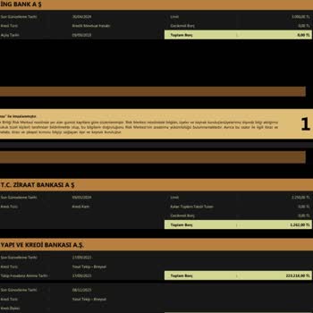 Emir Varlık Yönetim Borç Ödeme Sürecinde Karşılaşılan Zorluklar