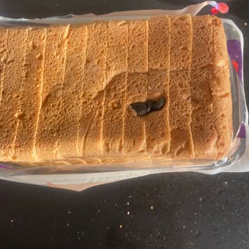 A101 Mağazadan Aldığımız Ekmekte Yabancı Cisim Bulduk