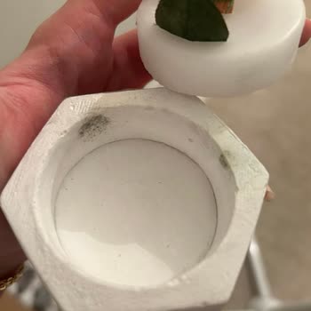 Atelier Der Beton Nişan Günü Yaşattıkları Mağduriyet