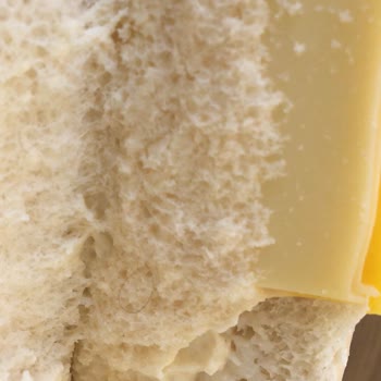 MR No Dardanel Sandviçten Kıl Çıktı