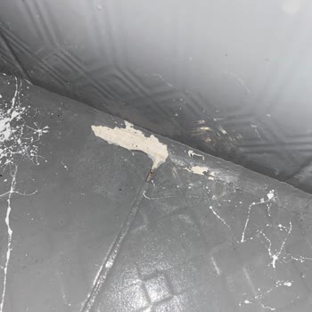 Bianca Boya Stella Bianca Memnuniyetsizlik