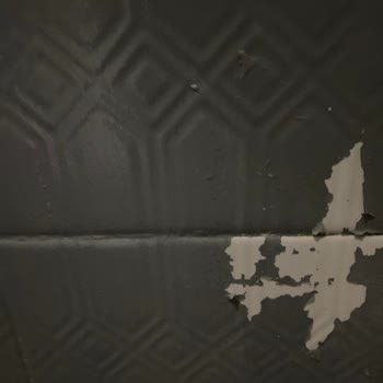 Bianca Boya Stella Bianca Memnuniyetsizlik