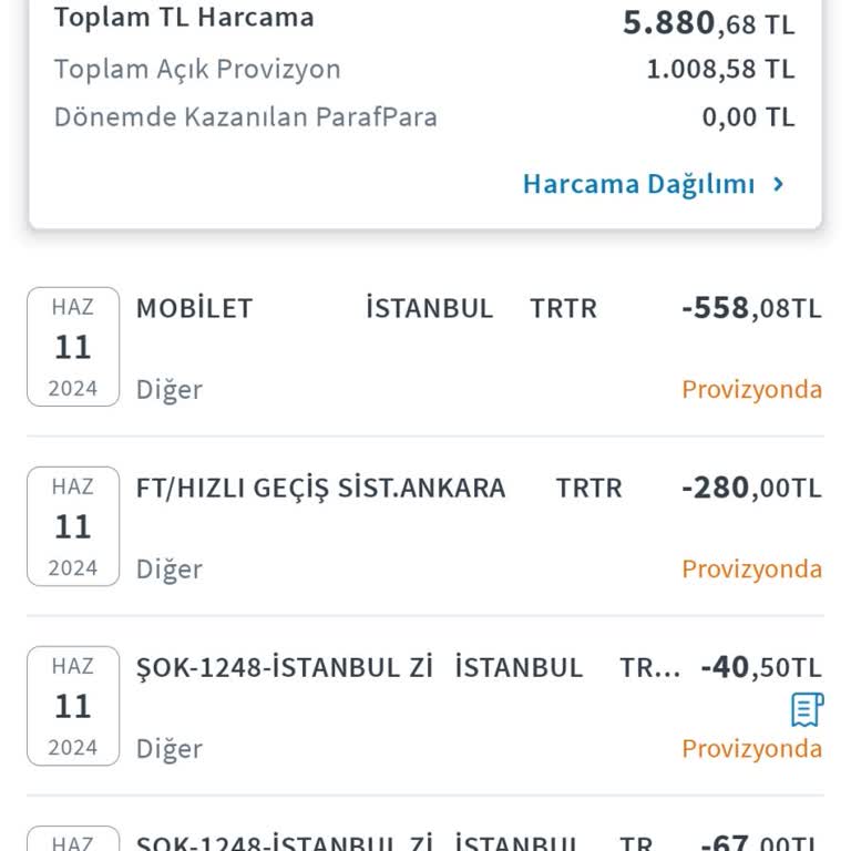 Mobilet Biletleme Hatası Ve Kurumsal Satış Söylemi