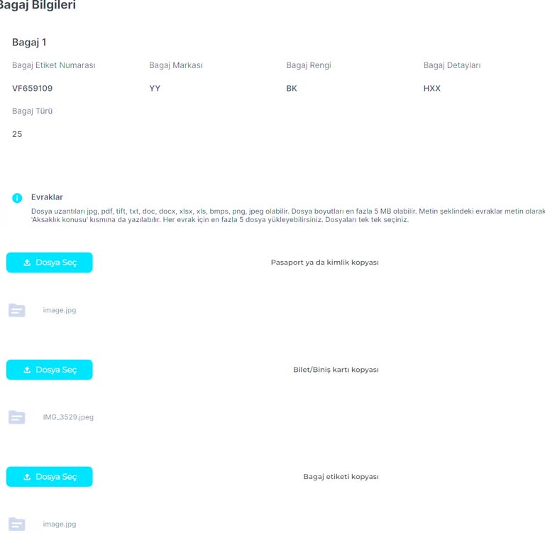 A Jet 2 Aydır Bagajımı Teslim Etmedi!