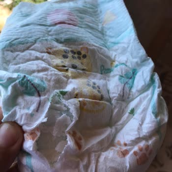 Prima Aktif Bebek Bez Önünde Taşımsı Şeyler