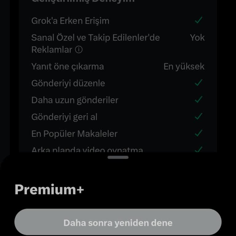 Twitter X Mavi Tik Alamama Sorunsalı
