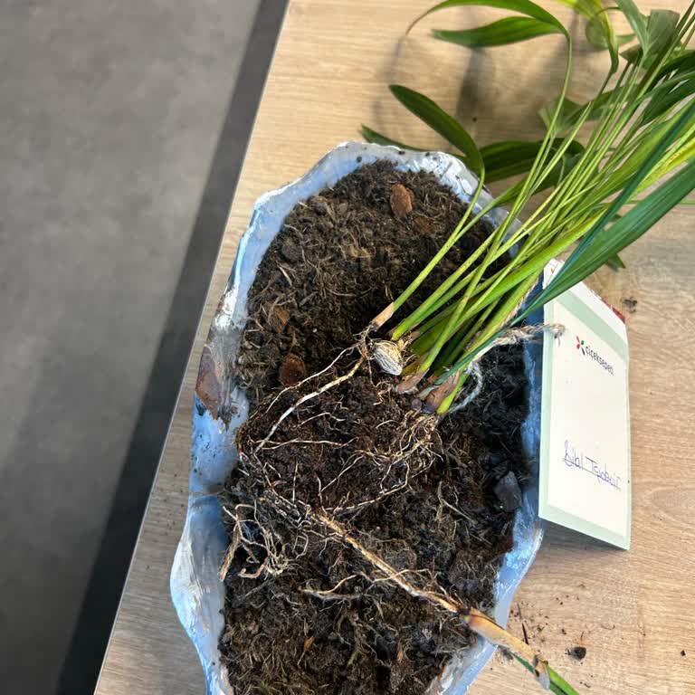 ÇiçekSepeti Çok Kötü Hizmet