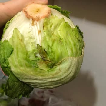 Grosper Market Kurtlu Çürük Meyve Sebzeleri Ve Kokmuş Tavukları