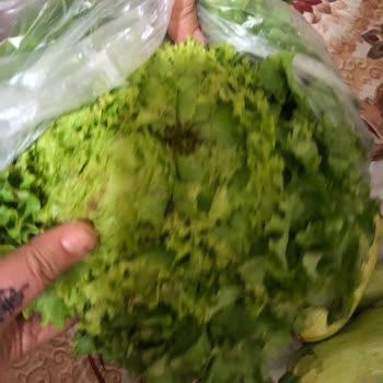 Grosper Market Kurtlu Çürük Meyve Sebzeleri Ve Kokmuş Tavukları