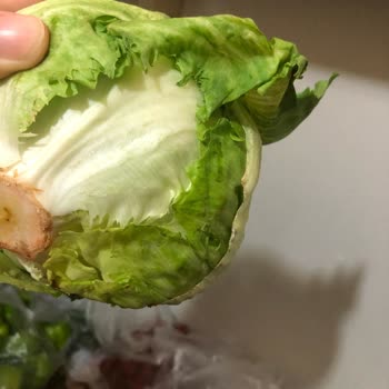 Grosper Market Kurtlu Çürük Meyve Sebzeleri Ve Kokmuş Tavukları