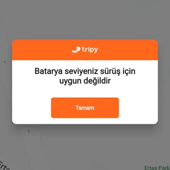 Tripy Mobility Güvenlik Açığı