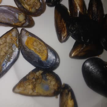 Olimpiyat Kokoreç Midye Vasatlığı Ve Parasını Asla Hak Etmiyor