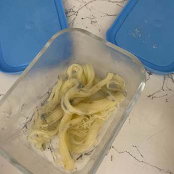 Samsung Buzdolabı Sorunu. Acil Yardım Talep Ediyorum