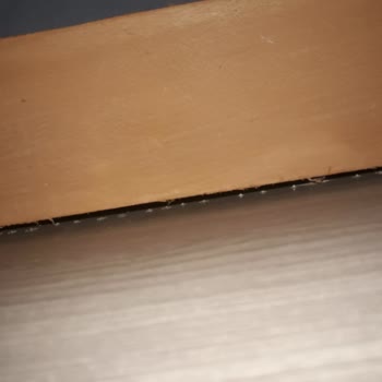 Doğrucan Mobilya Mobilya Mağazası Hizmet Şikayetleri
