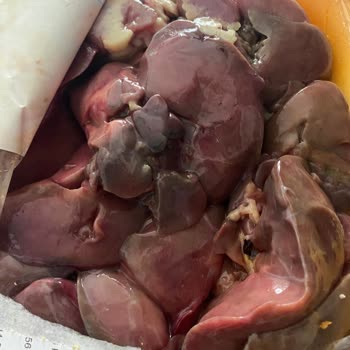 Erpiliç Senden Beklemezdim Lütfen Kendine Gel!