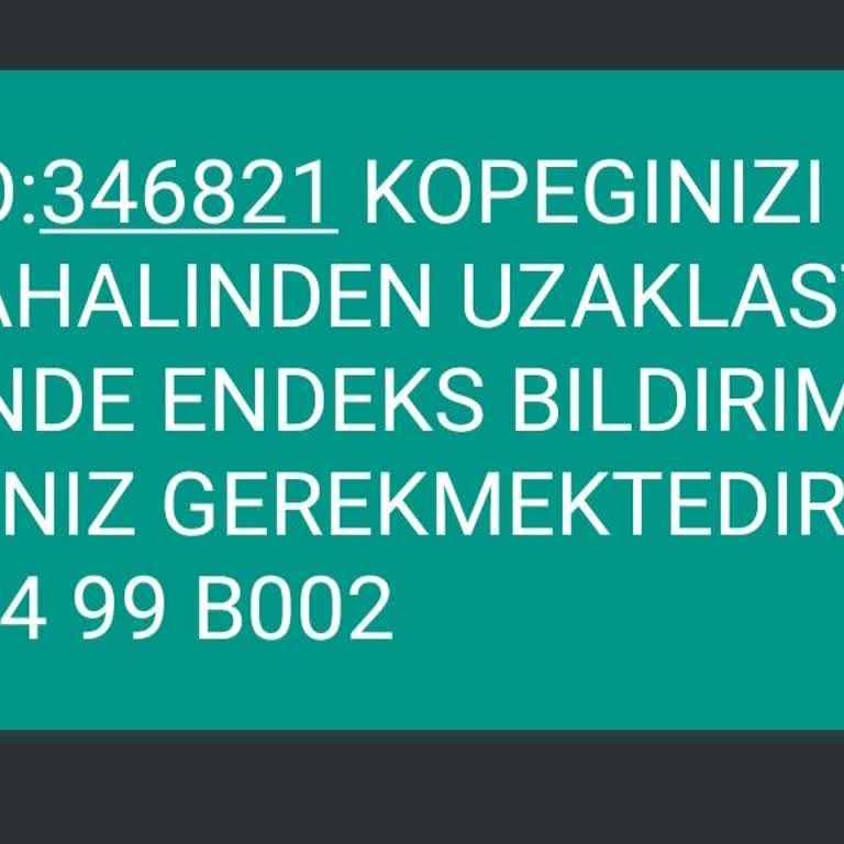 Agdaş Köpeğim Olmadığı Halde Sayaç Okunamadı Mesajı Geldi!