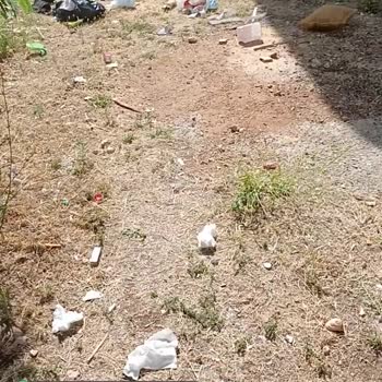 Erdemli Belediyesi Çevre Kirliliği Sürekli Çöp Atılması!