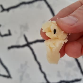 Ayça Süt Ürünleri Online Marketten Yanlış Ürün Teslimi Ve Kalite Sorunu