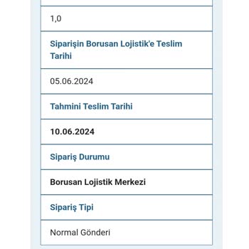 Borusan Lojistik Kargoyu Dağıtıma Çıkartmıyor