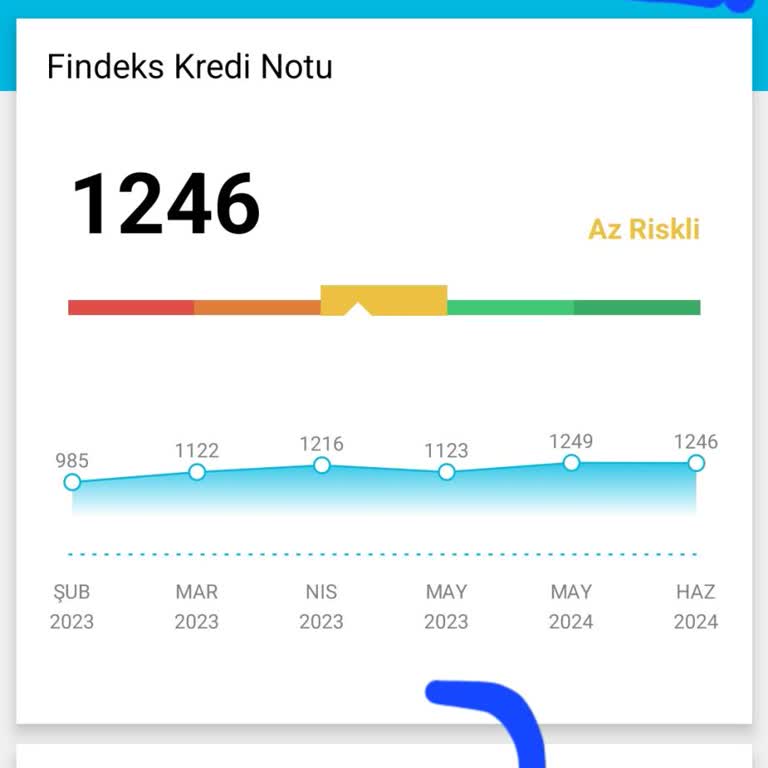 Findeks Kredi Kartlarımı Düzenli Ödememe Rağmen Yükselmiyor