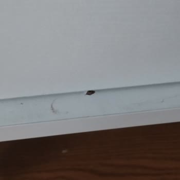 Karacan Avm - Evsenin Mobilya Hayal Kırıklığı: Teşhir Ürün Ve İlgisiz Hizmet