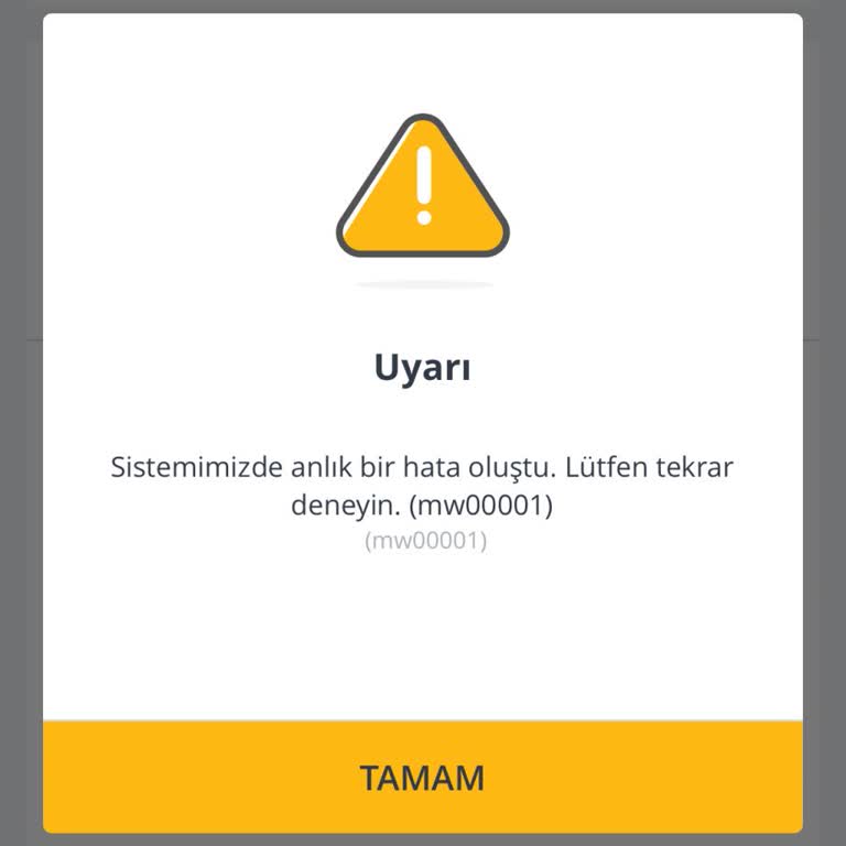 Pegasus Check-in Yaparken Sistem Hatası