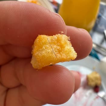 Çerezza Cips Paketinde Hijyen Sorunu: Kıl Çıktı, Param Çöp Oldu