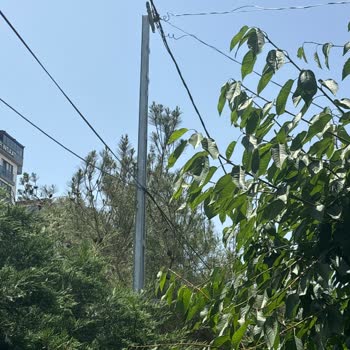 Sokak Lambası Sorunu (AYEDAŞ)