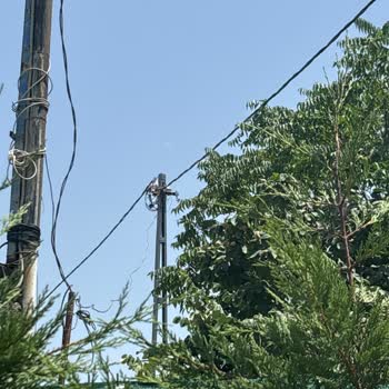 Sokak Lambası Sorunu (AYEDAŞ)