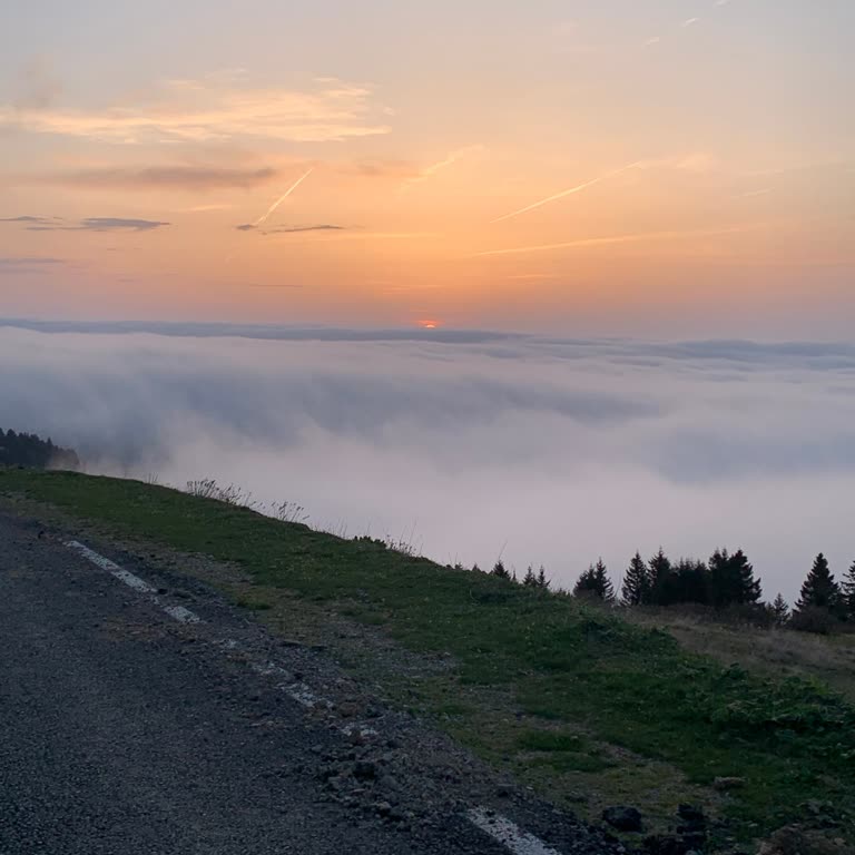 Servisfoni Kaba İlgisiz Bilgisiz Çalışanlar