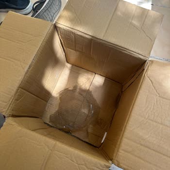 Alibey Süt Ürünleri Hakkında Siparişimin Rezil Durumu