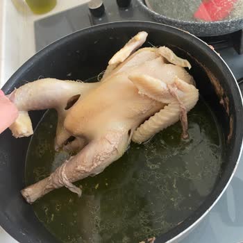 Lele Tavuk Lele Köy Tavuğu