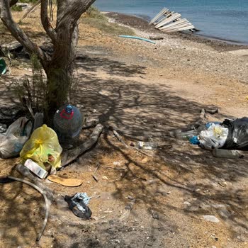 Bodrum Belediyesi Çatal Ada Çöp Durumu!