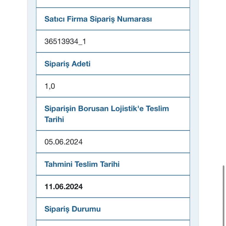 Borusan Lojistik Teslimat Sorunu Ve Müşteri Hizmetleri Deneyimi