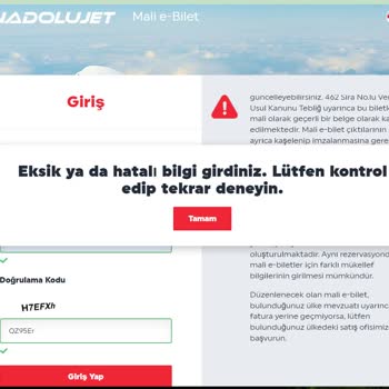 Anadolu Jet E-Fatura Hatası