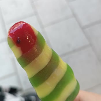 Sinekli Dondurma Twister