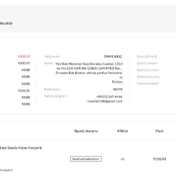 Gelmeyen, Gelemeyen Holodes Sipariş Şikayeti