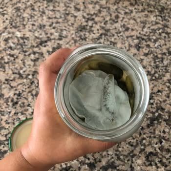 Kühne Kornişon Turşusunun Beklenmedik Bozulması