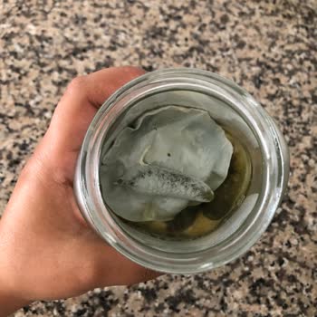 Kühne Kornişon Turşusunun Beklenmedik Bozulması