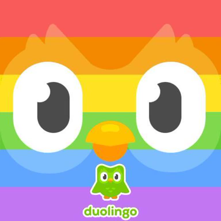 Duolingo's LGBT-Schulung Kontroverse und Zweck der Integration