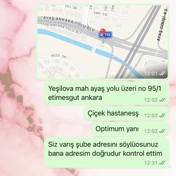 Sürat Kargodaki Kurye