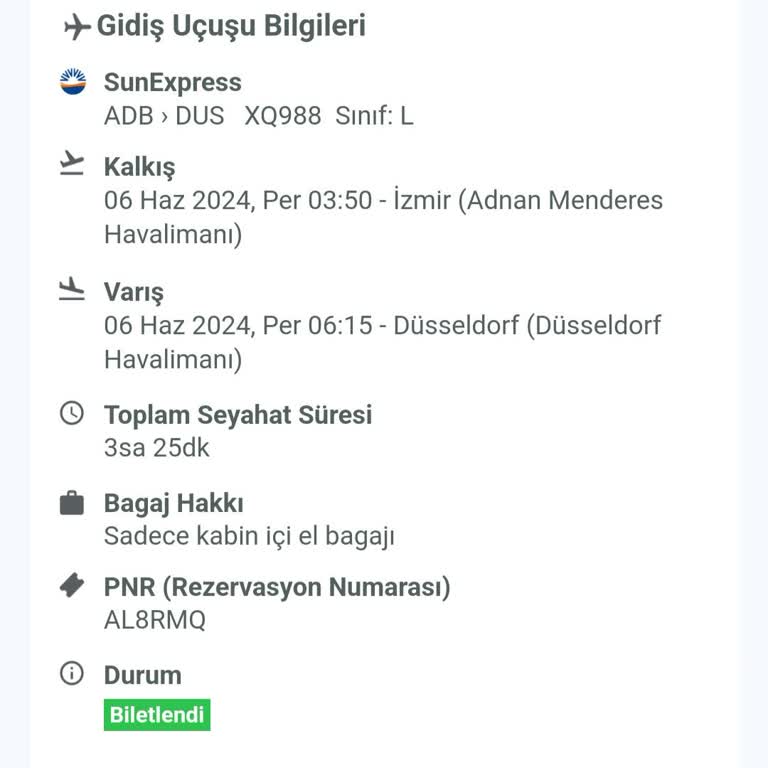 Sunexpress El Bagajı Hakkı