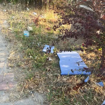 Çevre, Şehircilik Ve İklim Değişikliği Bakanlığı Urla Da Ciddi Çöp Sorunu