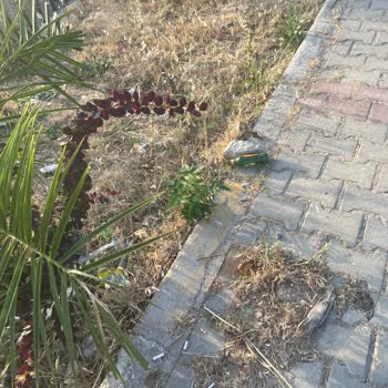 Çevre, Şehircilik Ve İklim Değişikliği Bakanlığı Urla Da Ciddi Çöp Sorunu