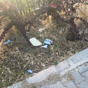 Çevre, Şehircilik Ve İklim Değişikliği Bakanlığı Urla Da Ciddi Çöp Sorunu