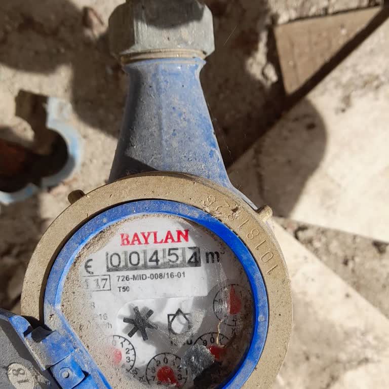 İzmir Büyükşehir Belediyesi Sayaç Okuyan Görevli