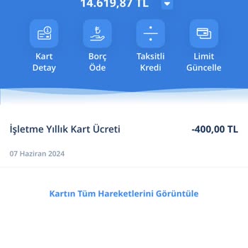 Kart Aidat Denizbank İşletme Kart